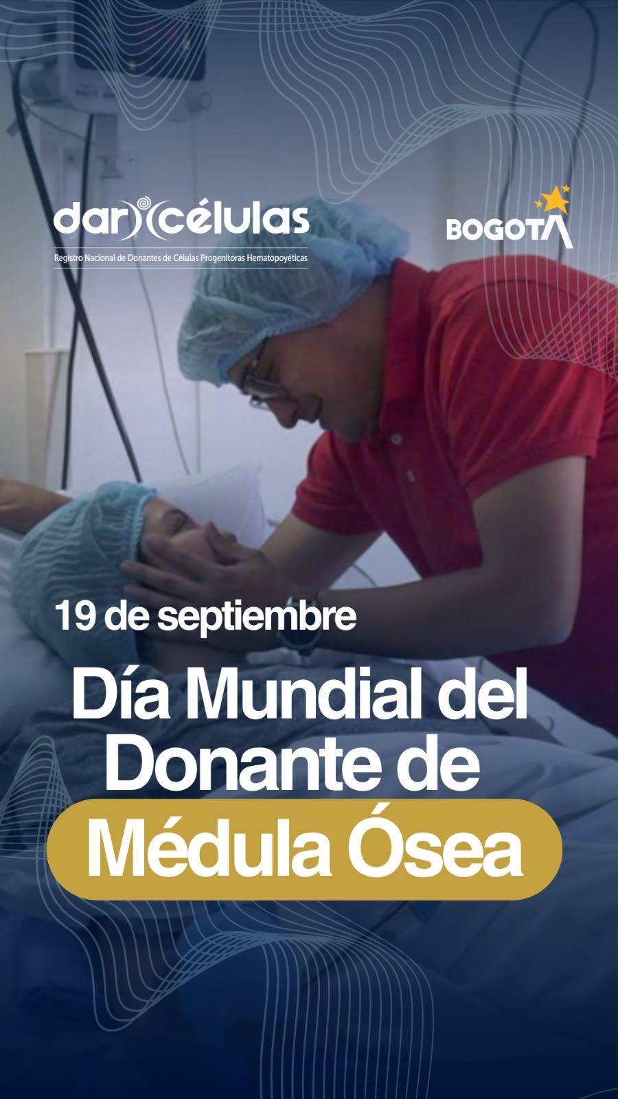 Día Mundial Del Donante de Médula Ósea