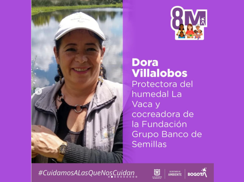 Dora Villalobos, mujer ambiental.