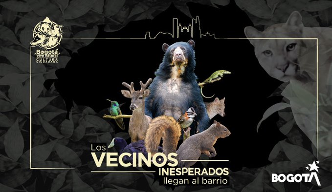 Vecinos inesperados