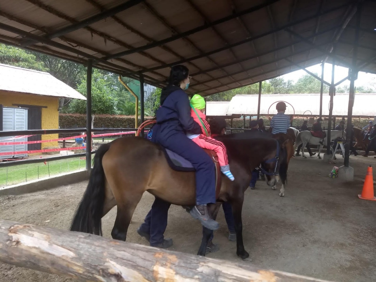 Terapias con caballos - FOTO: Prensa Alcaldía Rafael Uribe Uribe.