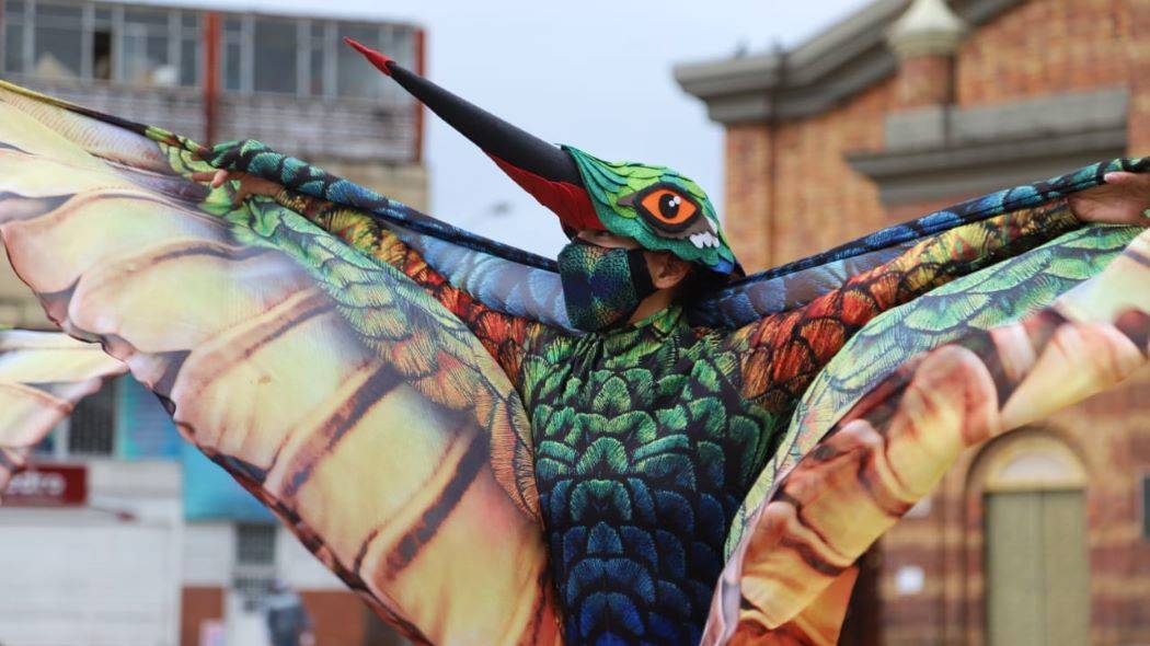 Imagen de un artista disfrazado de colibrí, extendiendo sus alas.