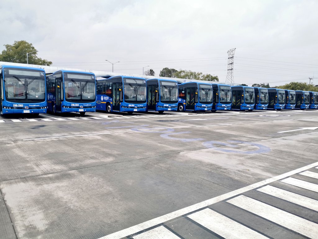 Flota de buses 