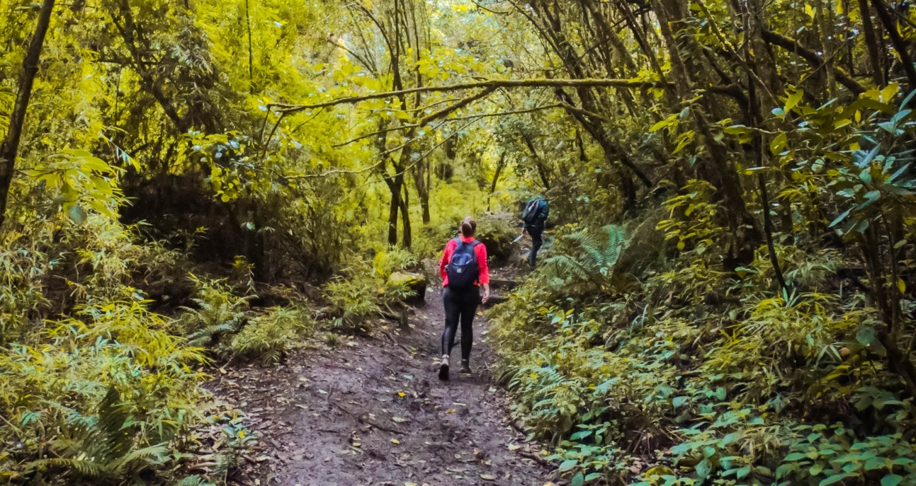 Sendero Santa Ana - La Aguadora. Foto: Acueducto de Bogotá.