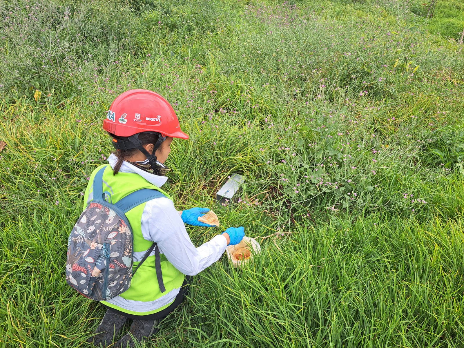 Natalia, bióloga que protege la fauna que habita en las zonas de influencia de la obra del Metro de Bogotá
