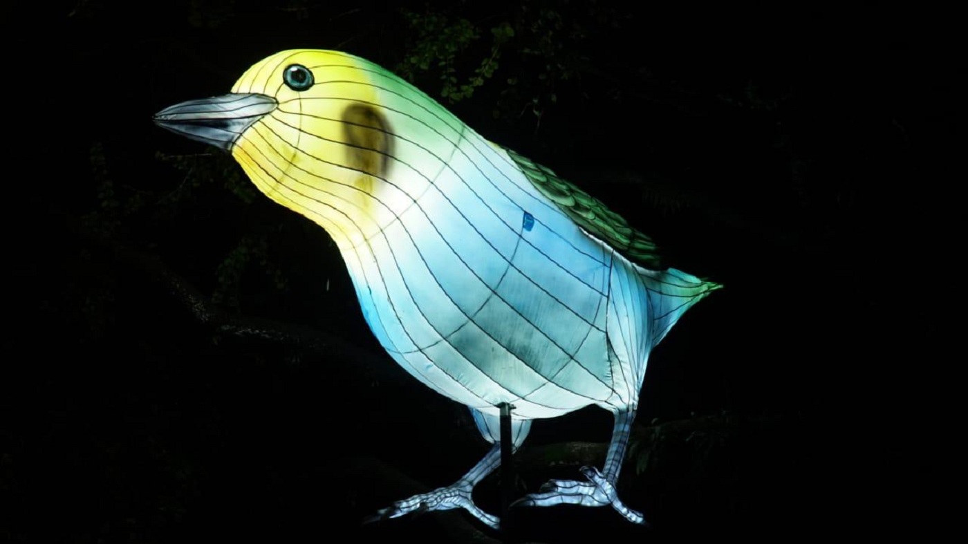 Festival Brilla en Bogotá