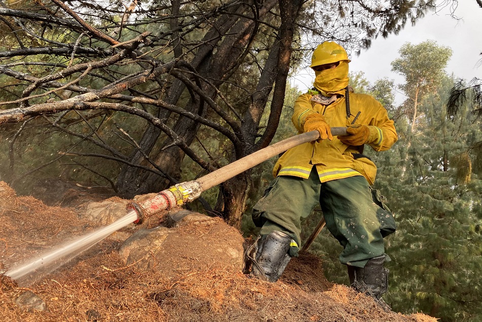 Incendio Forestal