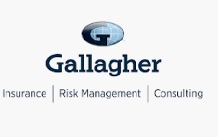 Logo Fundación Gallagher