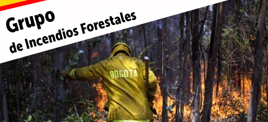 Grupo  DE INCENDIS FORESTALES - PIEZA: Prensa Bomberos de Bogotá
