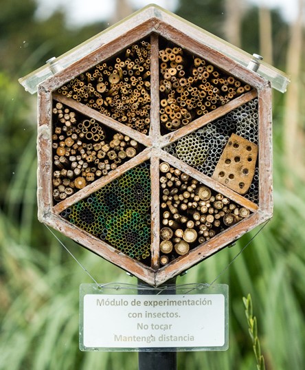Imagen de los hoteles de abejas.