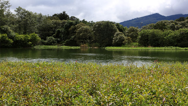 Imagen de un humedal