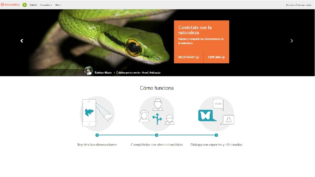 Pantallazo de la plataforma iNaturalist