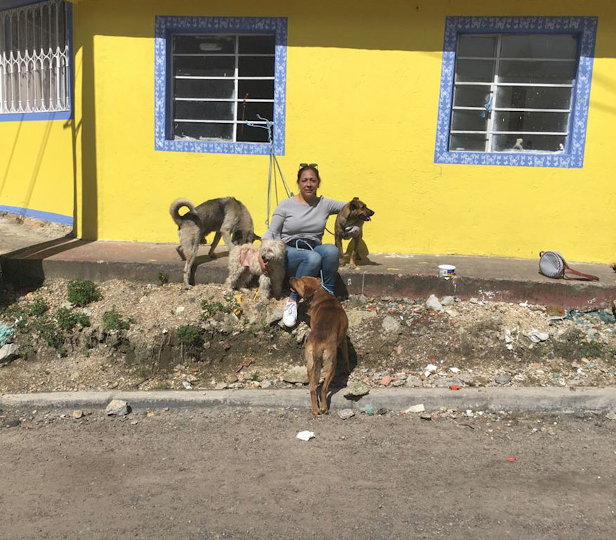 Janeth Bogotá vino desde Francia para ser voluntaria en la jornada de esterilización del CES en Cerro Norte - Foto: Archivo de Bogotá.