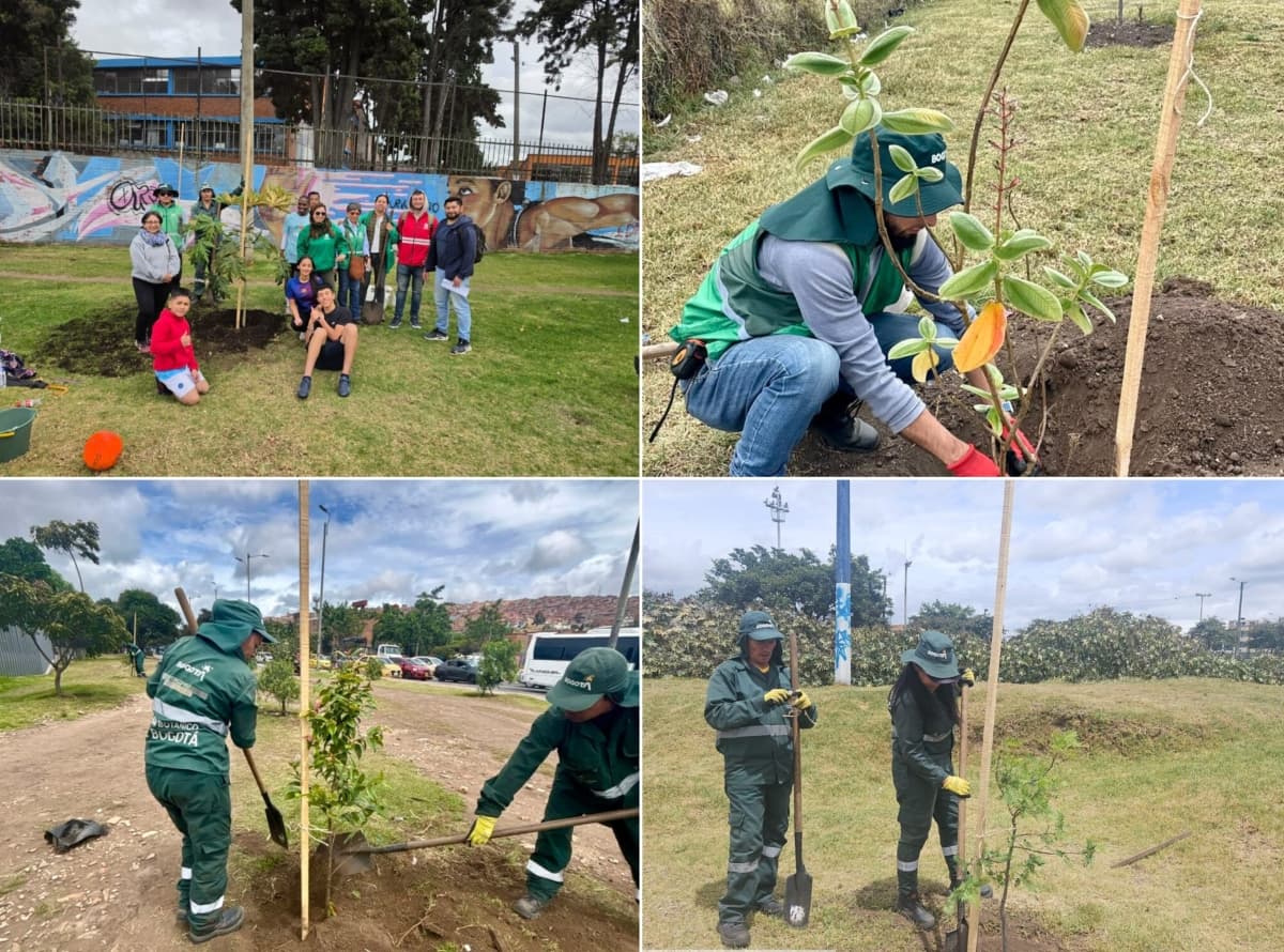 Jornada de plantación de árboles nativos en el parque El Tunal con participación comunitaria y personal del Jardín Botánico de Bogotá.