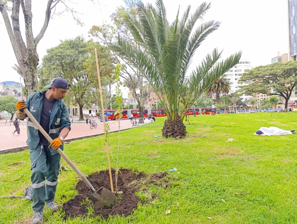 Jardín Botánico Bogotá avanza en plantación de nuevos árboles urbanos