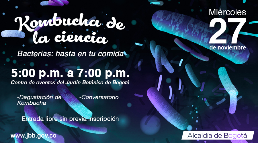 Kombucha de la ciencia 