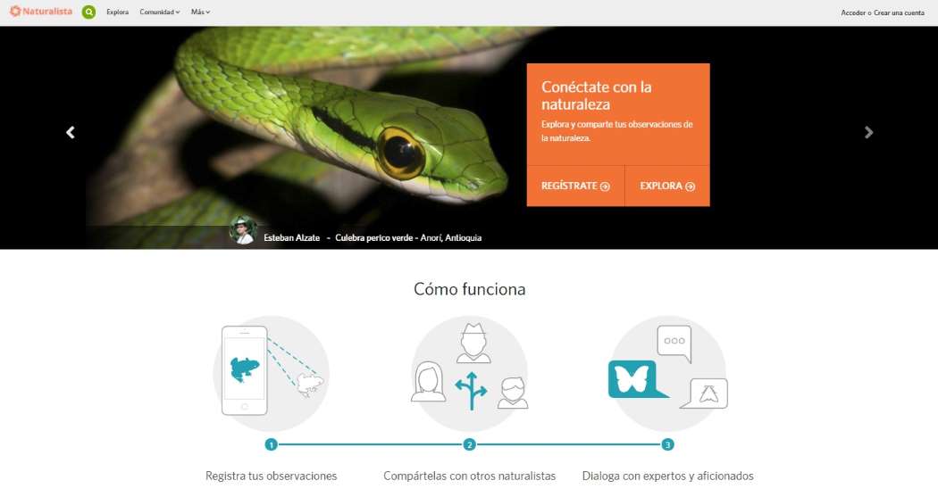 Imagen de la aplicación Naturalista Colombia