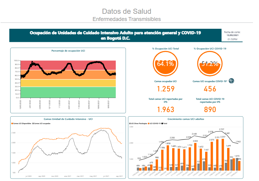 Pantallazo de ocupación de camas UCI