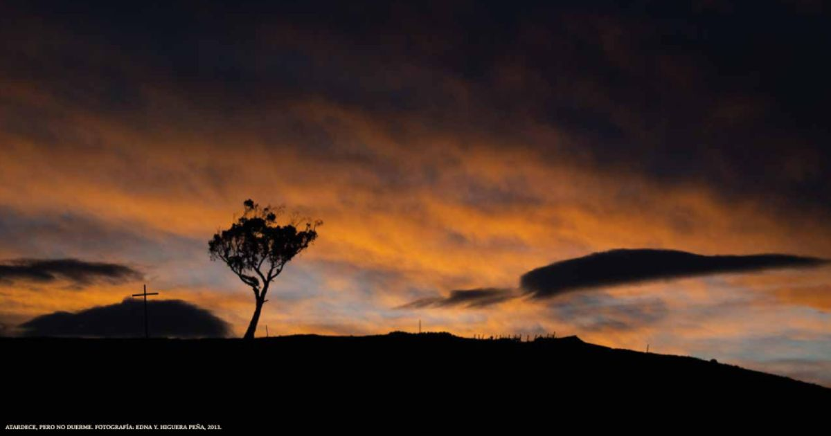 Palo del Ahorcado en Ciudad BOlivar