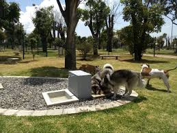 Parque para perros Tunal