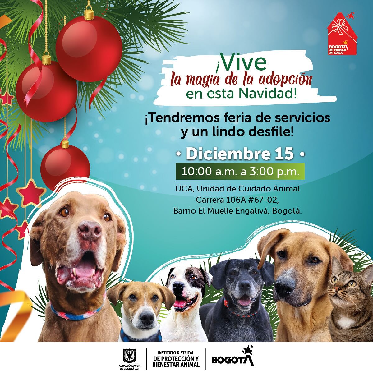 Jornada de adopción de perros y gatos en Bogotá 25 de diciembre 2024 