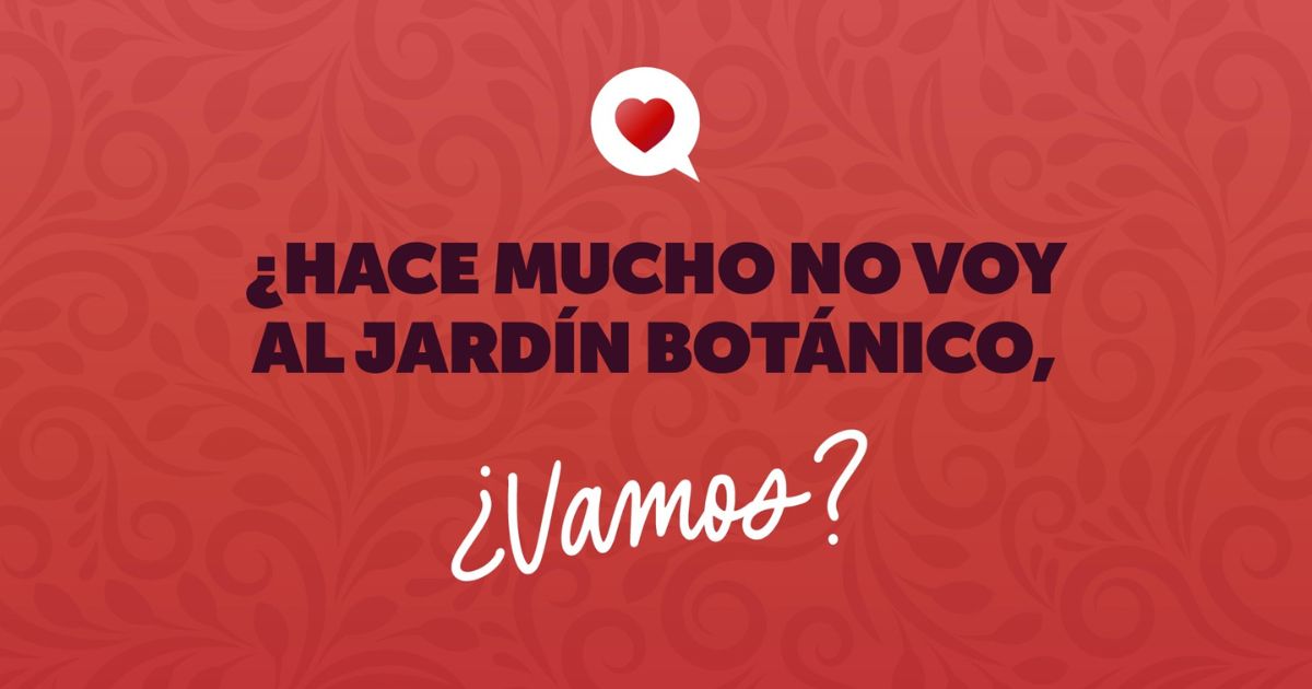 Planes de Amor y Amistad en Bogotá 