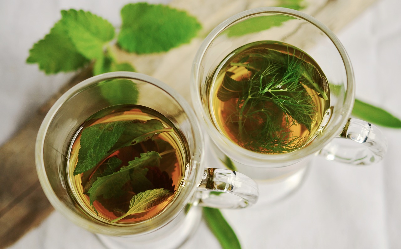 Plantas medicinales para sanar