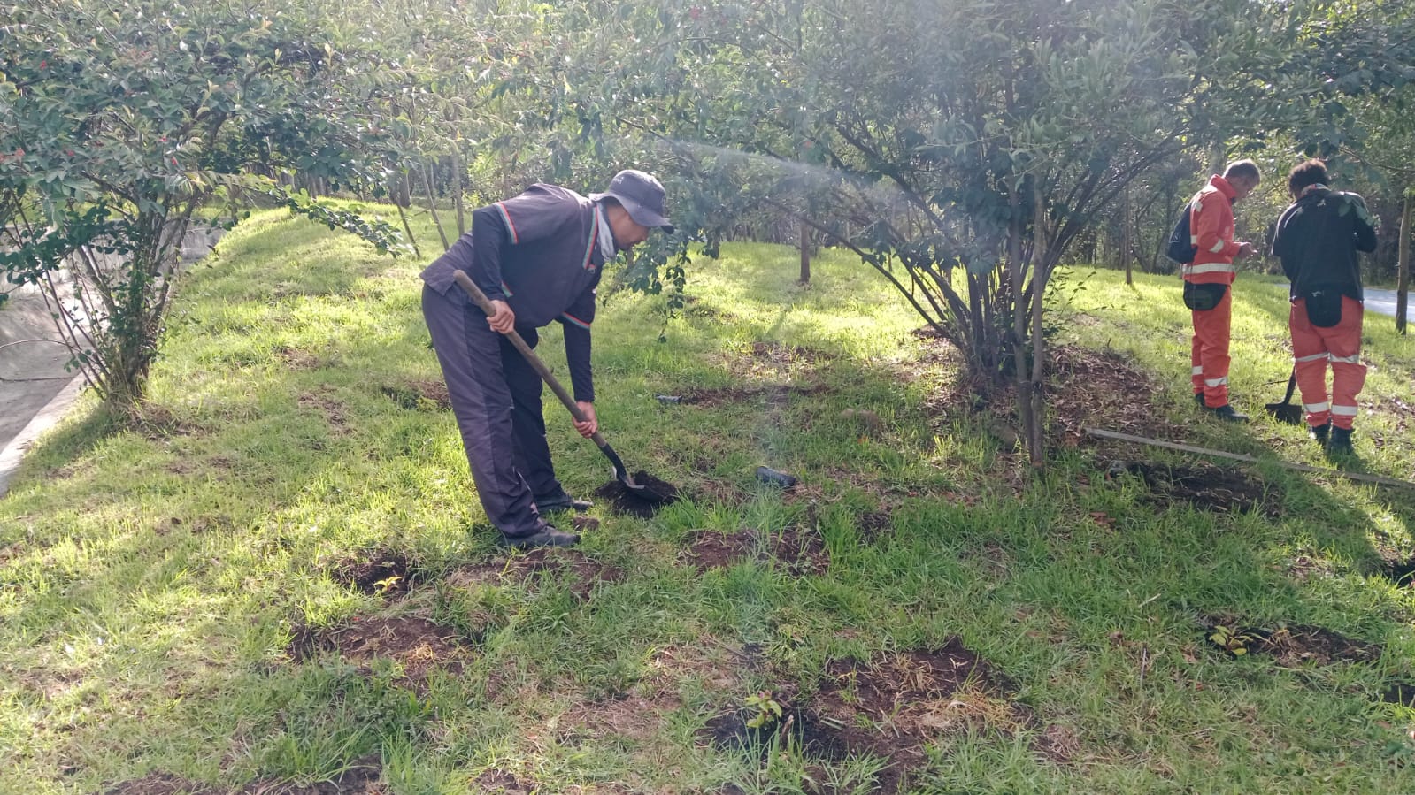 Entre las especies se encuentran el roble, mermelada, duraznillo, cucharo, cajeto y nogal.