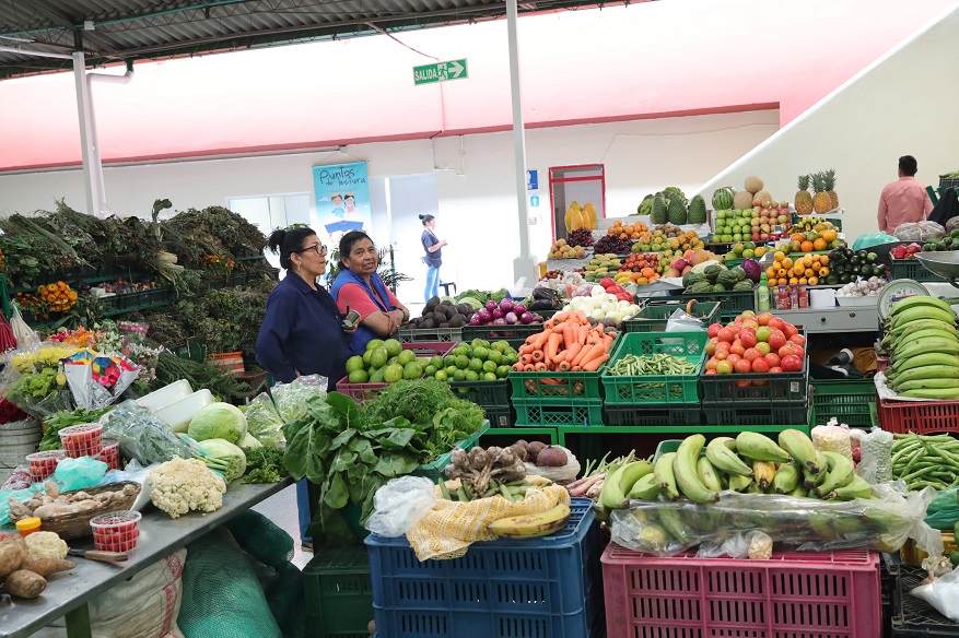 Campesinos que sustituyeron cultivos ilícitos en plazas de mercado