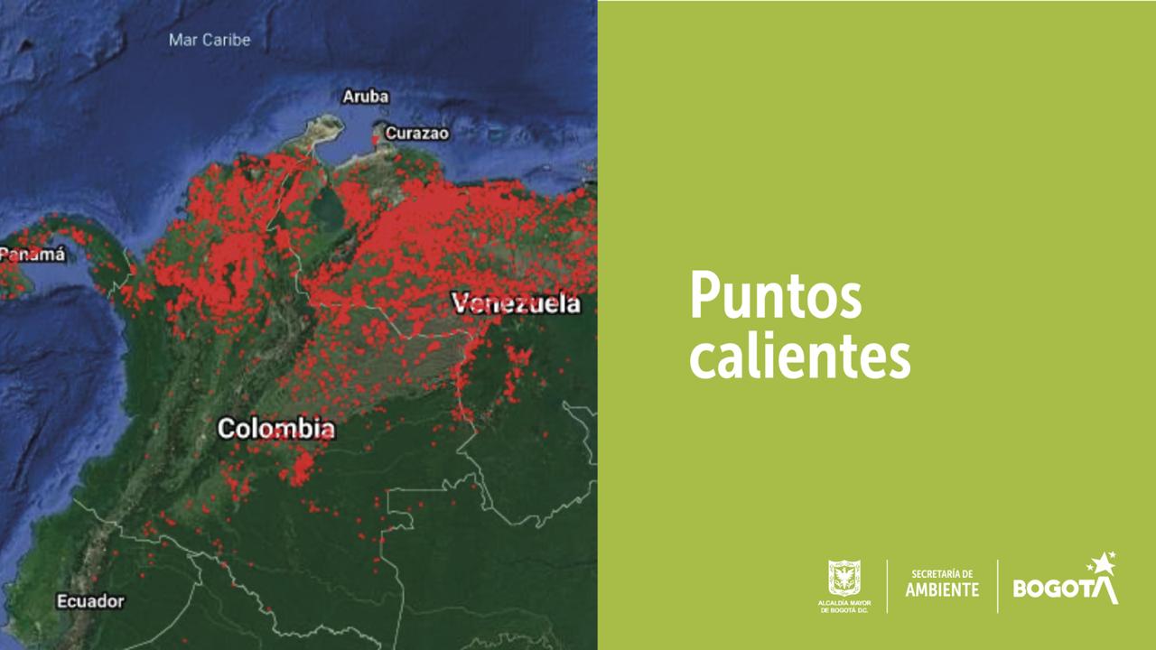 Imagen de los incendios registrados en el país
