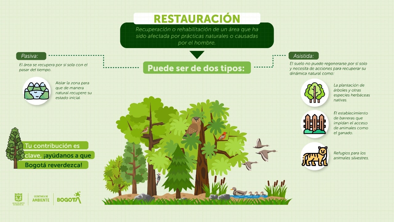 Imagen que ilustra los dos procesos de restauración ecológica.