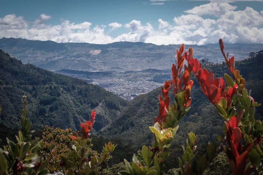 Alcaldí adecuará sendero ecológico en Vereda El Verjón - Foto: Comunicaciones Alcaldía Bogotá