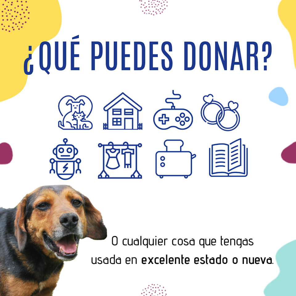 donación para fundación de perros y gatos 
