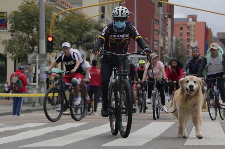 Cuidados que debes tener con tu mascota en la ciclovía