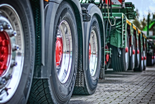Camiones y transporte de carga