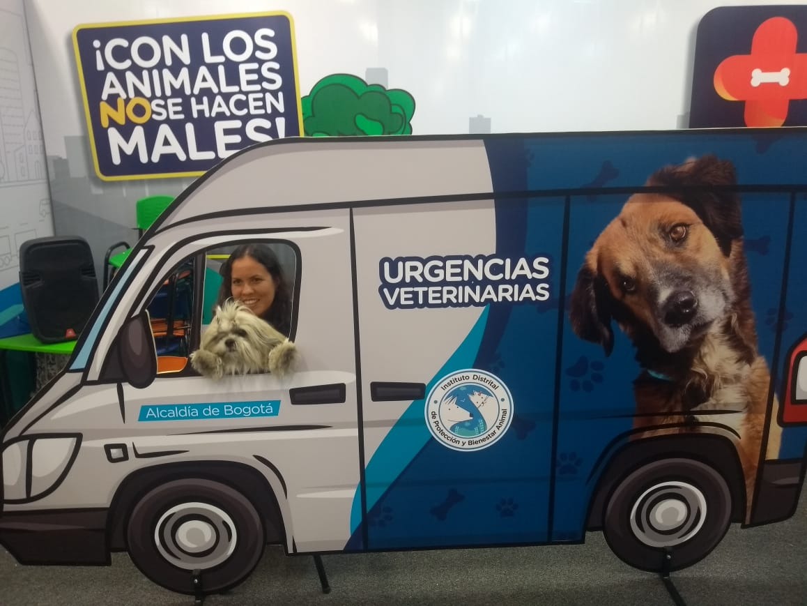Animales 