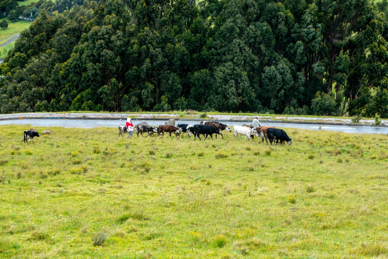 Zona rural de Usme