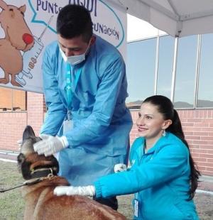 Jornada de vacunación animal- FOTO: Prensa Secretaría de Saud