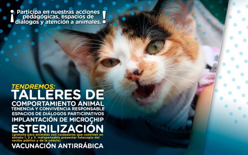 Poster del encuentro zoolidario en Ciudad Bolívar