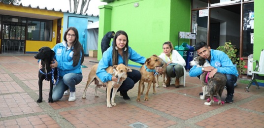 Protección Animal