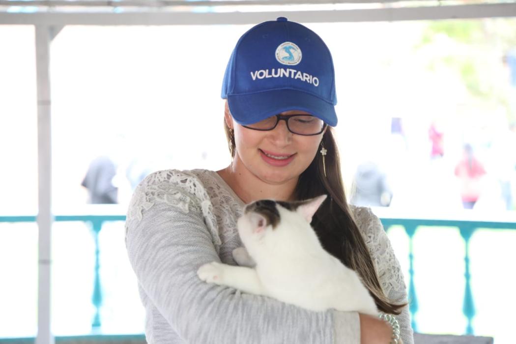 Voluntario protección animal 