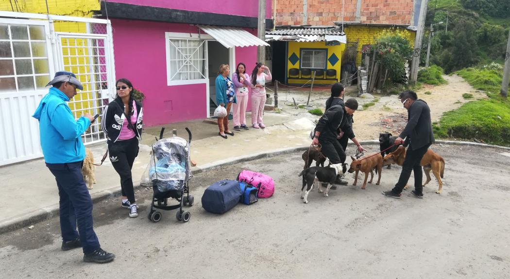 Funcionarios del Instituto Distrital de Protección y Bienestar Animal y voluntarios de Cerro Norte en Usaquén en la jornada de esterilización de animales callejeros - Foto: Archivo de Bogotá.
