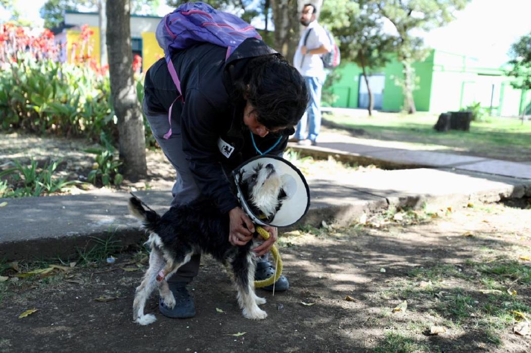 Pasear mascotas rescatadas por el Distrito es una opción para los ciudadanos con comparendos por Código de Policía. Foto: Lina Rozo/ Secretaría de Seguridad 