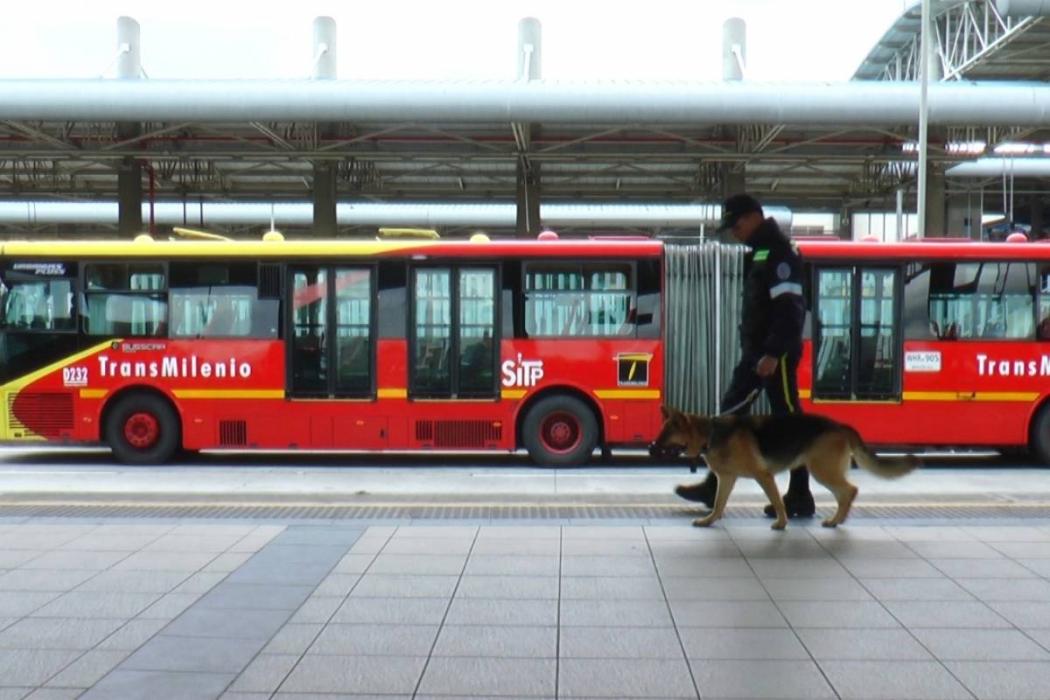 Perros vigilantes en TransMilenio serán retirados el 11 de febrero de 2020.