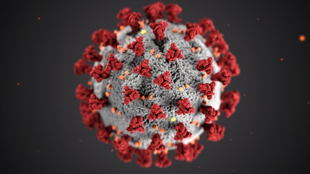 Modelo en 3D del coronavirus