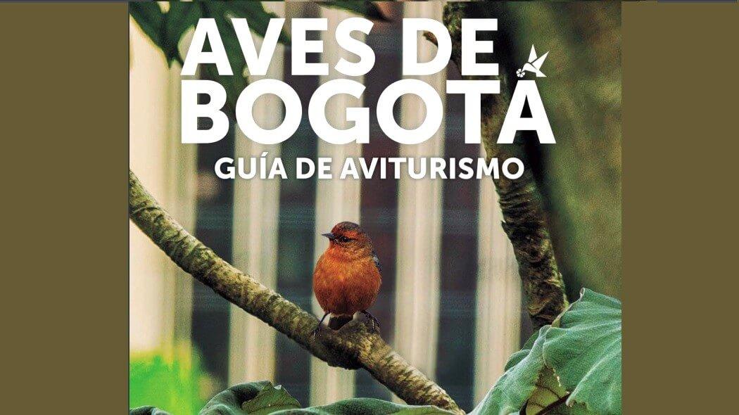 Imagen guía de aves de Bogotá