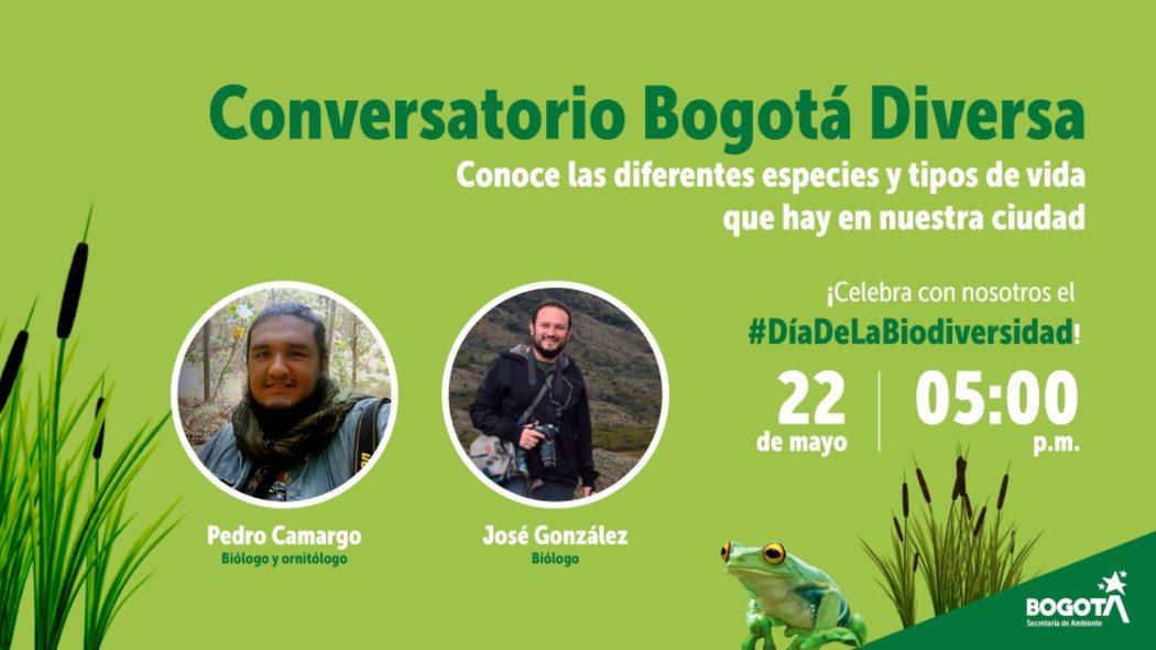 Conoce las diferentes especies y tipos de vida que hay en Bogotá