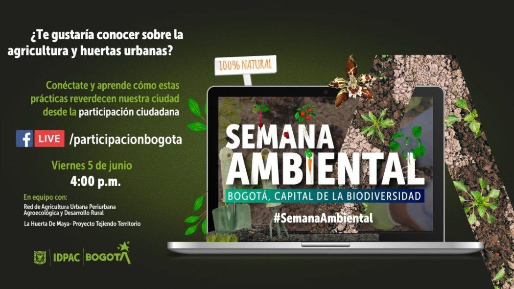 Conoce más sobre agricultura y huertas urbanas en Bogotá