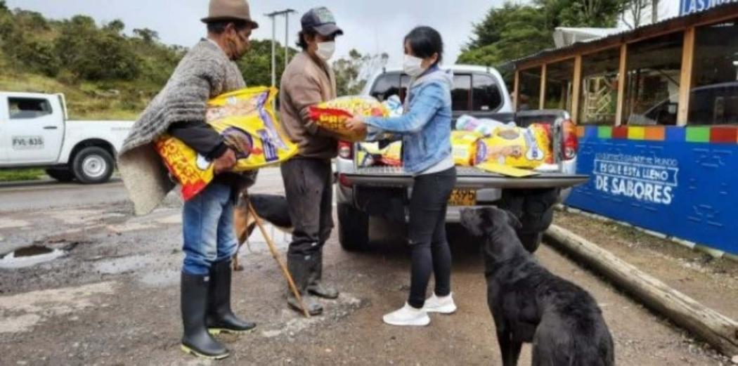 200 perros y 30 gatos recibieron comida en veredas de Santa Fe.