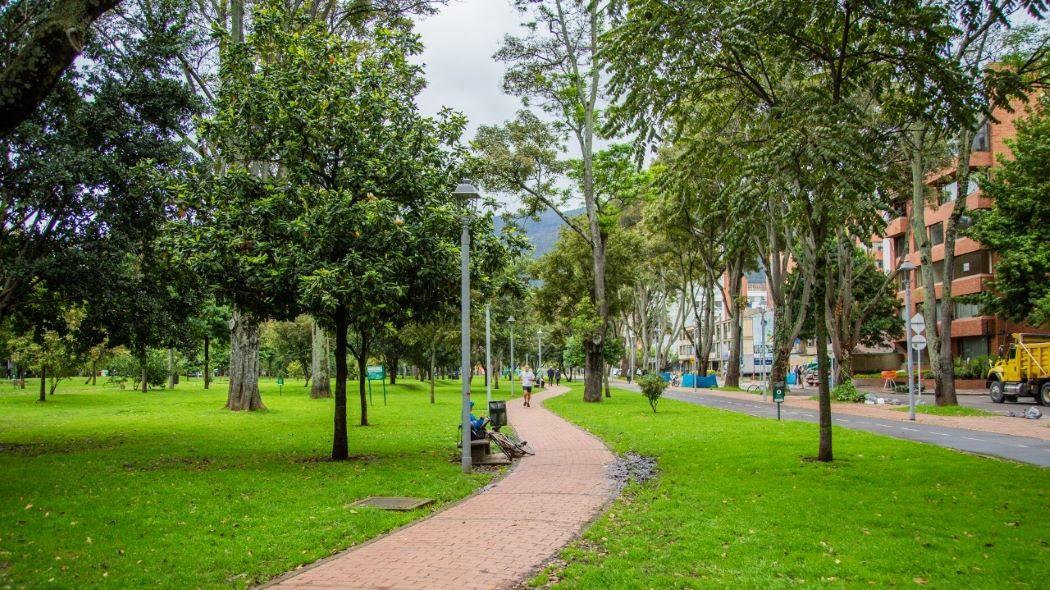 Bondades y beneficios del arbolado urbano en Bogotá | Bogota.gov.co