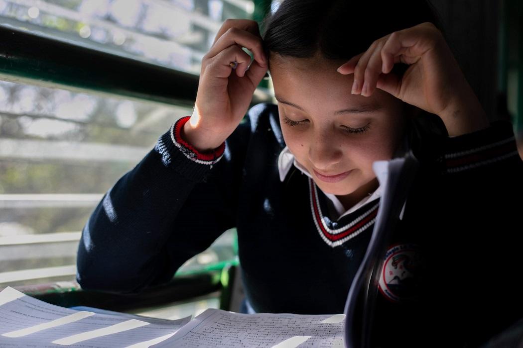 Enseñanza de francés en colegios oficiales de Bogotá